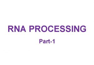 RNA PROCESSING Part1 m RNA processing Transcription m