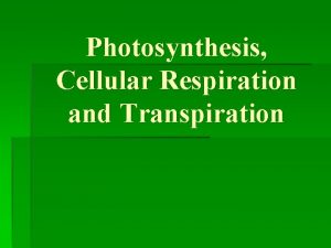 Photosynthesis Cellular Respiration and Transpiration Equation for Photosynthesis
