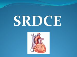 SRDCE dut svalov orgn v hrudnkovej dutine medzi