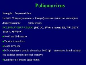 Poliomavirus Famiglia Polyomaviridae Generi Orthopolyomavirus e Wukipolyomavirus virus
