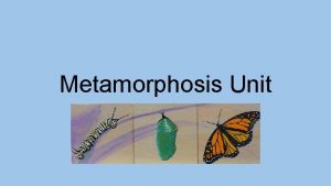 Metamorphosis Unit Objectives Reflect of personal growth to