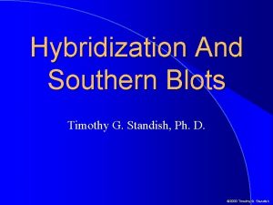 Hybridization And Southern Blots Timothy G Standish Ph