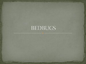 BEDBUGS Mattress Inspection Bed bugs are most often