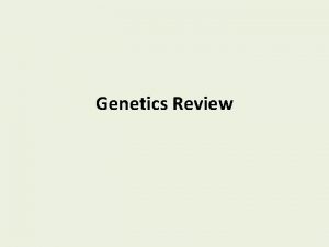 Genetics Review Know the following Terms Recessive Dominant