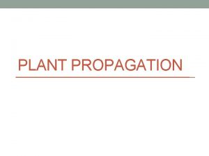 PLANT PROPAGATION Propagation The multiplication of a kind