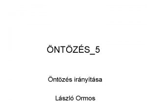 NTZS5 ntzs irnytsa Lszl Ormos Soft Computing A