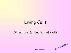 Living Cells Structure Function of Cells Mr G