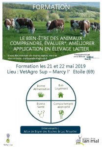 FORMATION LE BIENTRE DES ANIMAUX COMPRENDRE VALUER AMLIORER