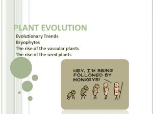 PLANT EVOLUTION Evolutionary Trends Bryophytes The rise of