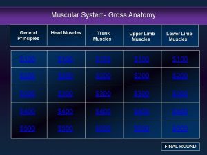 Muscular System Gross Anatomy General Principles Head Muscles