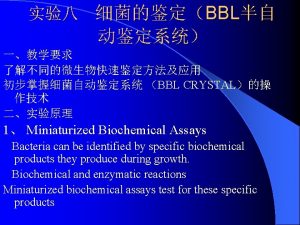 BBL BBL CRYSTAL 1 Miniaturized Biochemical Assays Bacteria