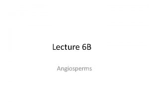 Lecture 6 B Angiosperms Characteristics of Angiosperms commonly