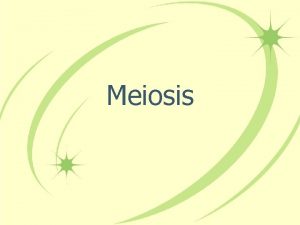 Meiosis Chromosome Number Diploid Haploid 2 n 1