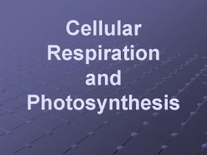 Cellular Respiration and Photosynthesis ATP Adenosine Triphosphate Main