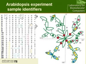 Arabidopsis experiment sample identifiers Arabidopsis experiment sample identifiers