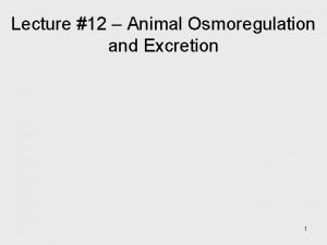 Lecture 12 Animal Osmoregulation and Excretion 1 Key