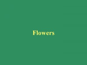 Flowers Basic structure of the angiosperm flower The