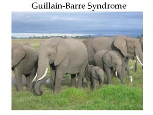 GuillainBarre Syndrome GuillainBarre syndrome also known as acute