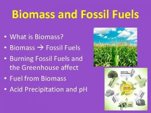 Biomass and Fossil Fuels What is Biomass Biomass