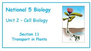 National 5 Biology Unit 2 Cell Biology Section