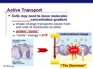 Active Transport Cells may need to move molecules