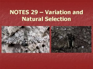 NOTES 29 Variation and Natural Selection Are individuals