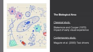 The Biological Area Classical study Blakemore and Cooper