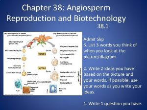 Chapter 38 Angiosperm Reproduction and Biotechnology 38 1