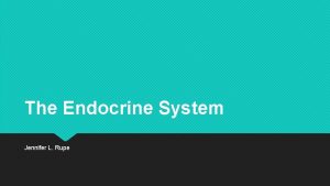 The Endocrine System Jennifer L Rupe Overview of