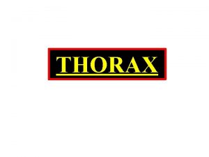 THORAX THE THORACIC CAGE Boundaries Behind Bodies of