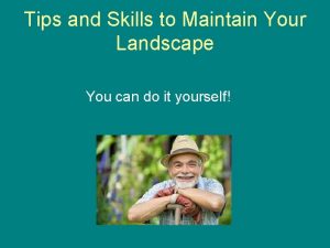 Tips and Skills to Maintain Your Landscape You