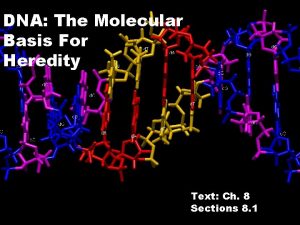 DNA The Molecular Basis For Heredity Text Ch