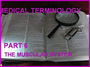 MEDICAL TERMINOLOGY PART 6 THE MUSCULAR SYSTEM Constructed