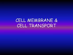 CELL MEMBRANE CELL TRANSPORT Homeostasis Maintaining a Balance