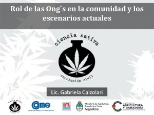 Rol de las Ongs en la comunidad y