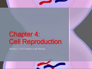 Chapter 4 Cell Reproduction Section 1 Cell Division