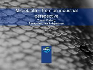 Microbiota from an industrial perspective Torunn Forberg Researcher