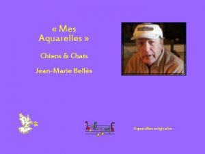 Mes Aquarelles Chiens Chats JeanMarie Bells Aquarelles originales