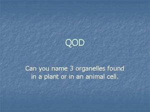 QOD Can you name 3 organelles found in