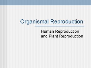 Organismal Reproduction Human Reproduction and Plant Reproduction Human