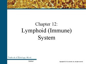 Chapter 12 Lymphoid Immune System Textbook of Histology