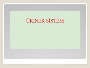 RNER SSTEM DRAR SSTEM Systema urinarium Kandan idrarn