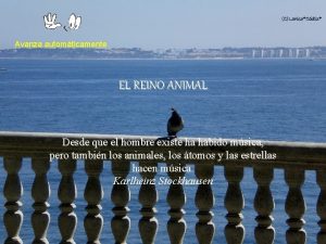 Avanza automticamente EL REINO ANIMAL lbum de fotografas