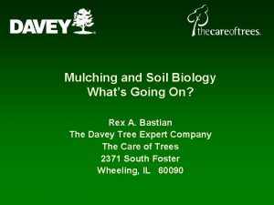 Mulching and Soil Biology Whats Going On Rex