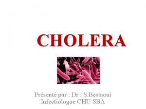CHOLERA Prsent par Dr S Bestaoui Infectiologue CHU