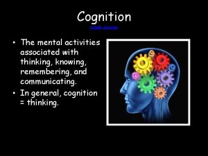 Cognition crash course The mental activities associated with