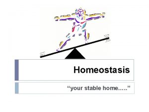 Homeostasis your stable home Homeostasis sameness state wo