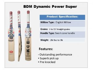 BDM Dynamic Power Super Product Specification Willow Type