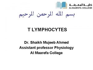 T LYMPHOCYTES Dr Shaikh Mujeeb Ahmed Assistant professor