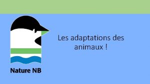 Les adaptations des animaux Questce quune adaptation Une